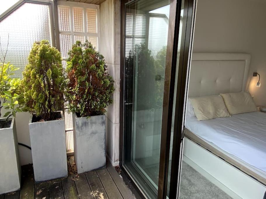 Avenida Vt - Vivienda Turistica San Sebastián Exterior foto